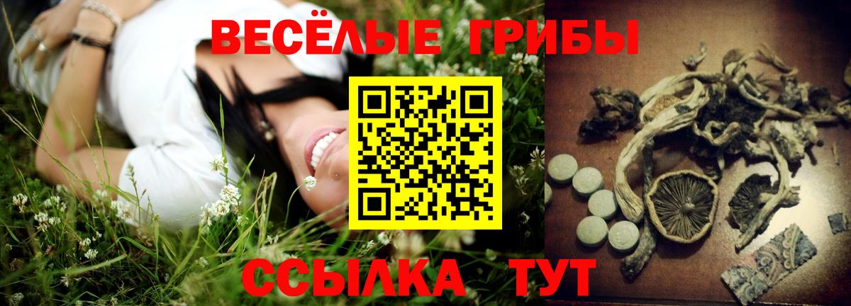 Галлюциногенные грибы Cubensis Нижневартовск